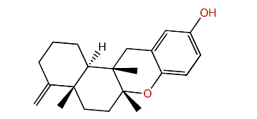 Dysiquinol D